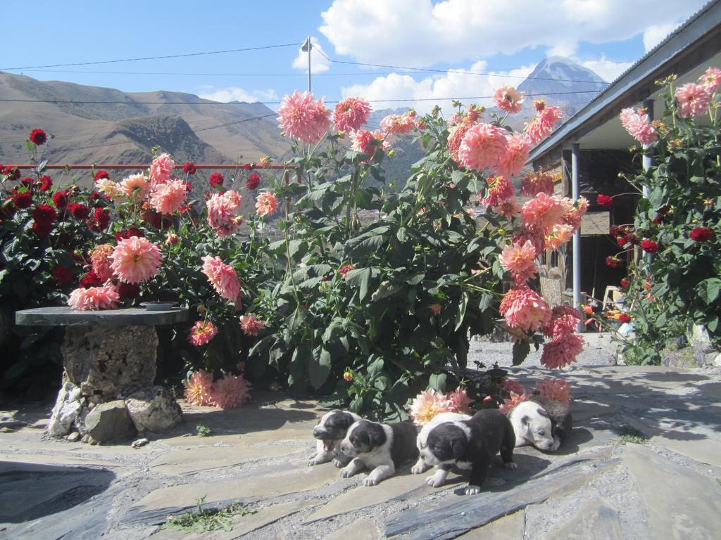 Qusha Guesthouse Meeting In The Mountains And Views カズベギ 部屋 写真