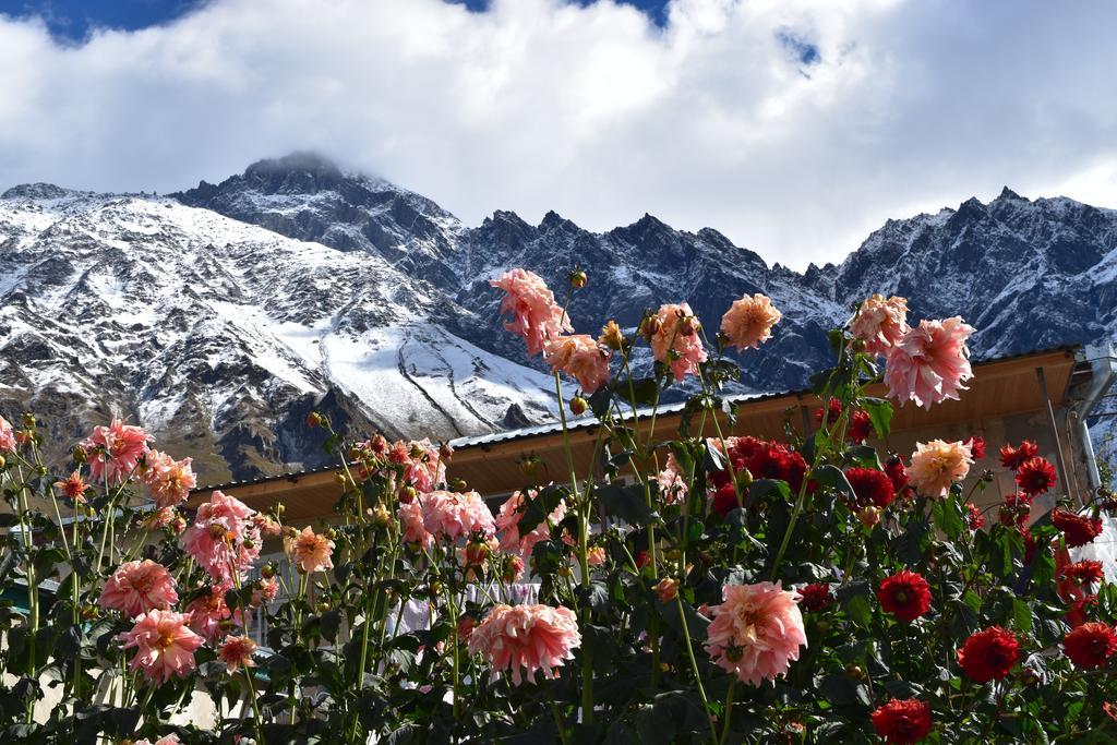 Qusha Guesthouse Meeting In The Mountains And Views カズベギ エクステリア 写真